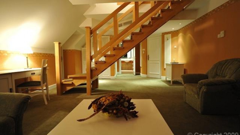 Hotel Termy Medical Warmia Park
