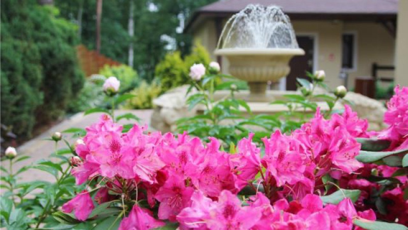 Boszkowo Vitalia Hotel & Resort