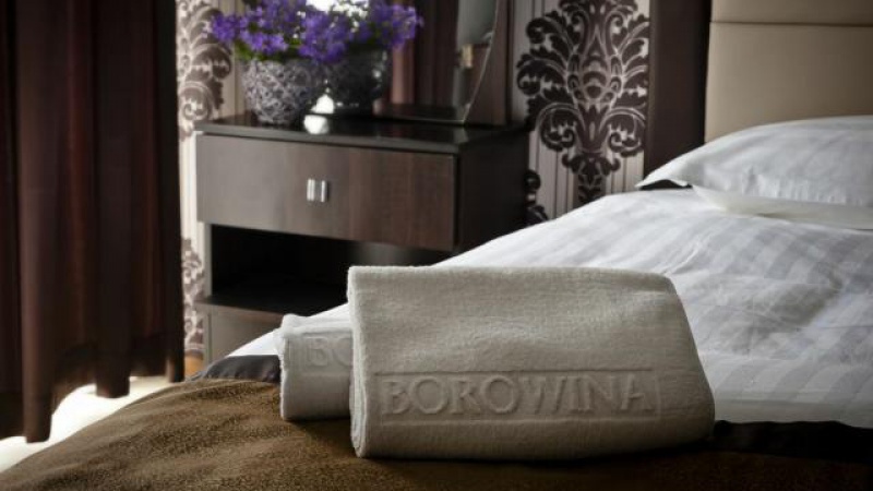 Hotel Borowina