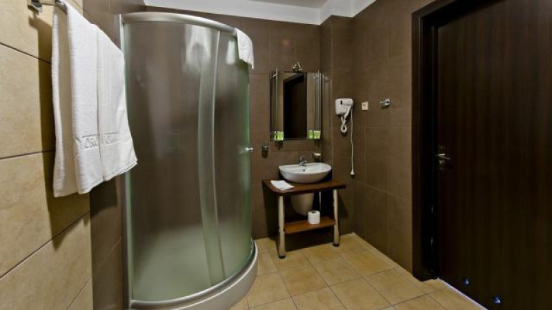 Hotel Borowina