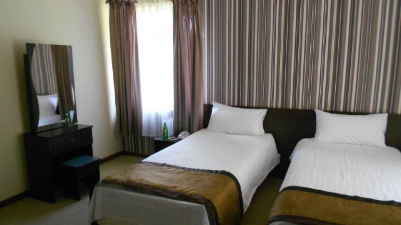 Hotel Borowina