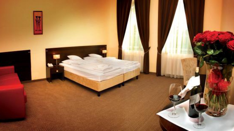 Hotel Niemcza Spa