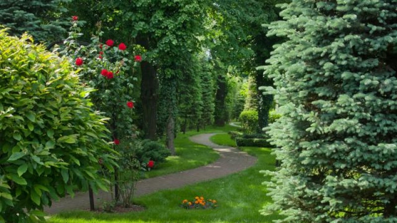 Crown Piast Hotel & Spa