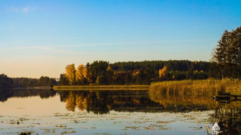 Zalesie Mazury Active Spa