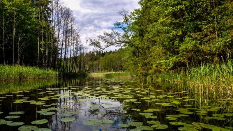 Zalesie Mazury Active Spa