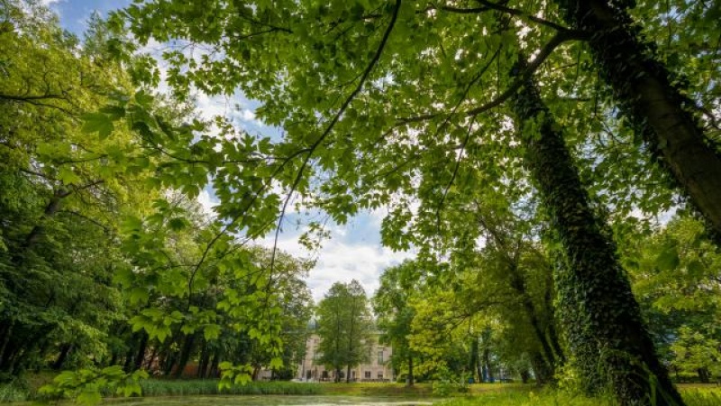 Pałac Pakosław