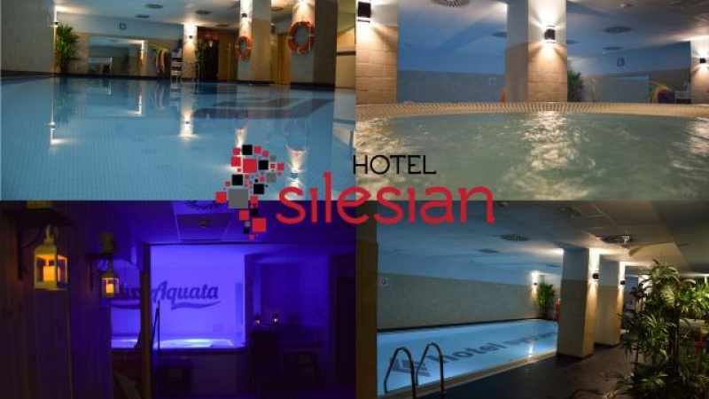 Economy Silesian Hotel