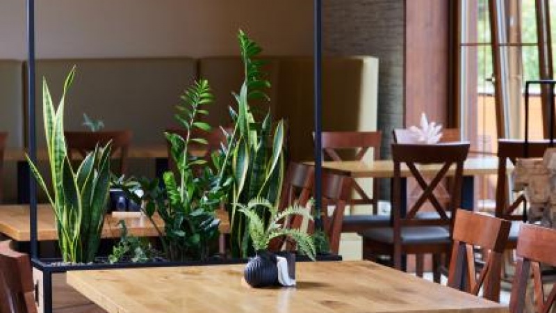 Hotel*** Beskidzki Raj Medical SPA