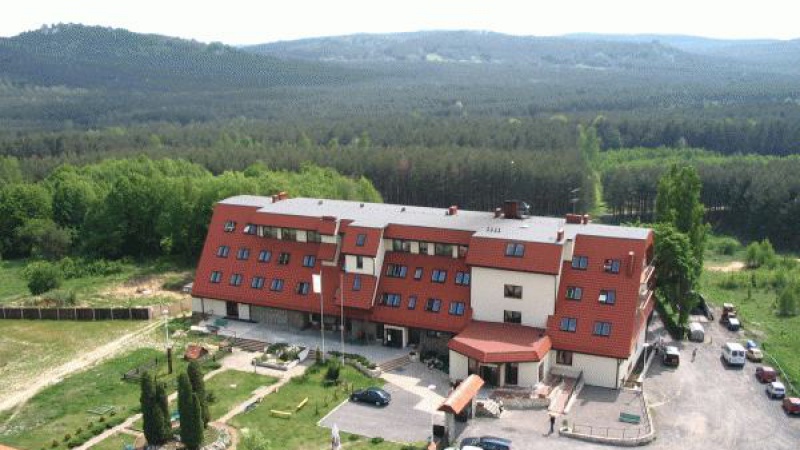 Orle Gniazdo