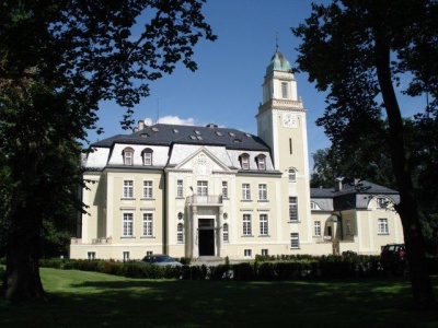 Pałac Borowa