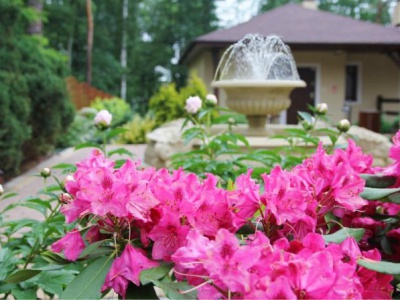 Boszkowo Vitalia Hotel & Resort